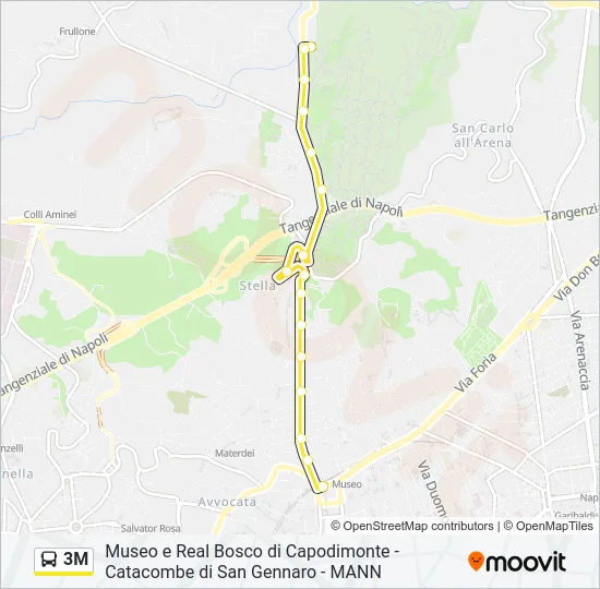 Percorso linea bus 3M