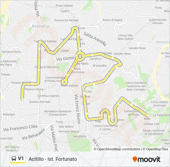 V1 Bus Line Map