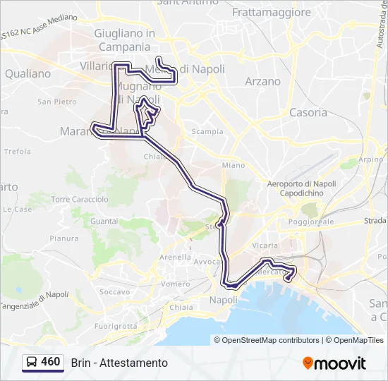 460 Bus Line Map