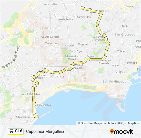 C16 Bus Line Map