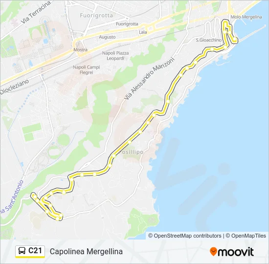 C21 Bus Line Map
