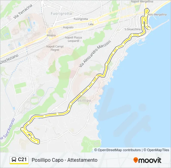 C21 Bus Line Map