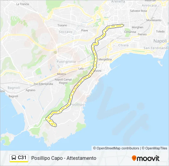 C31 Bus Line Map
