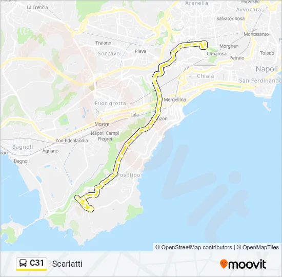 C31 Bus Line Map