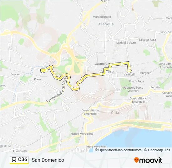 C36 Bus Line Map