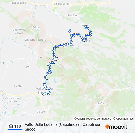110 Bus Line Map