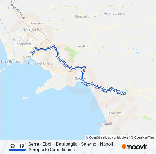 119 Bus Line Map