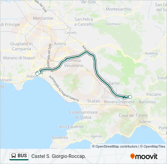 BUS Line Map