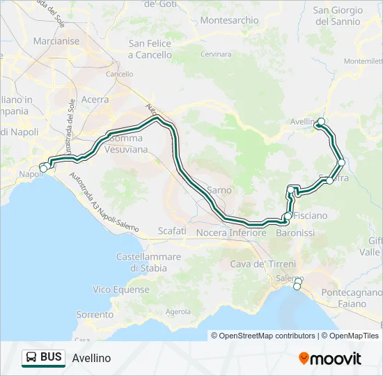 BUS Line Map