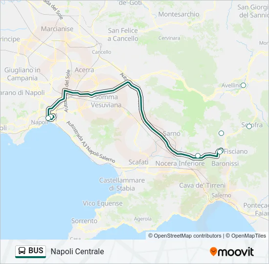 BUS Line Map