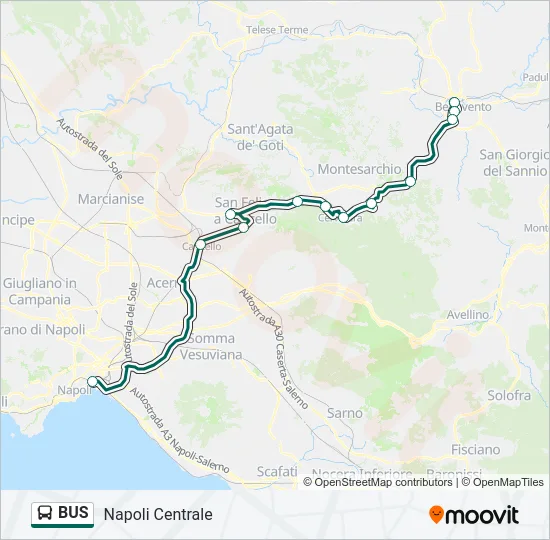 BUS Line Map