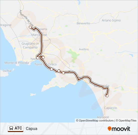 ATC Bus Line Map