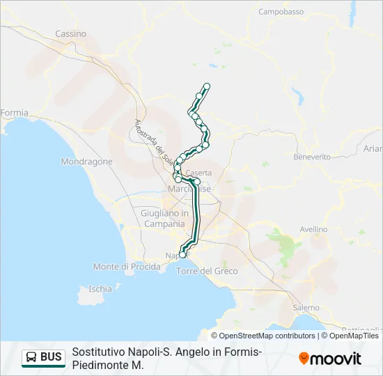 BUS Line Map