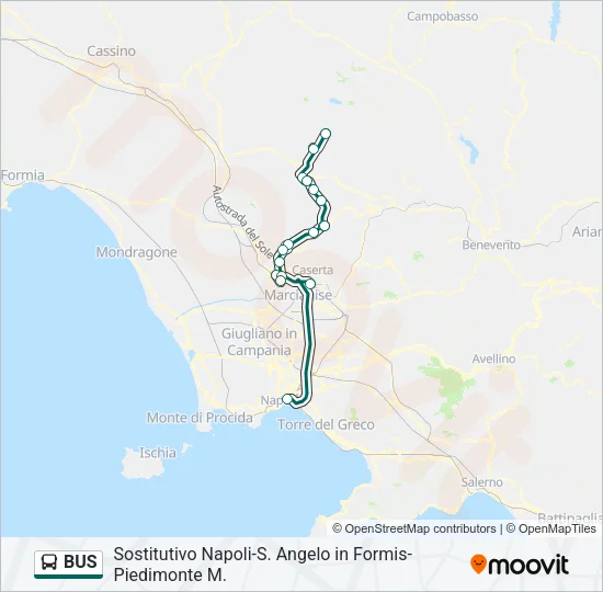 BUS Line Map