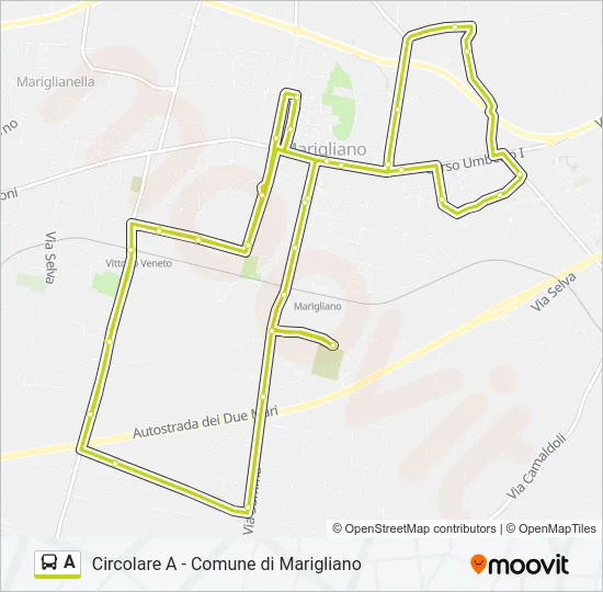 A Bus Line Map