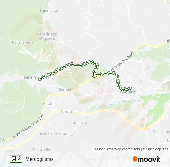 3 Bus Line Map