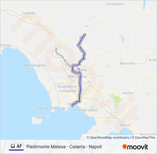 AF Bus Line Map