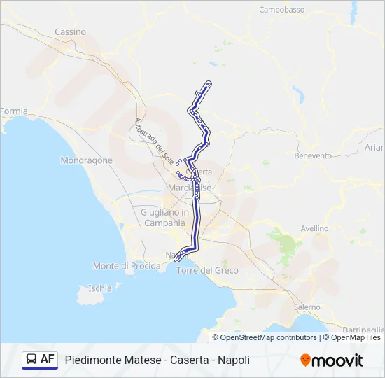 AF Bus Line Map