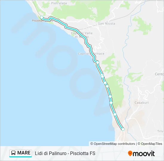 MARE Bus Line Map