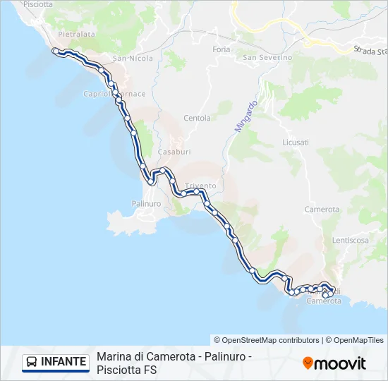 INFANTE Bus Line Map