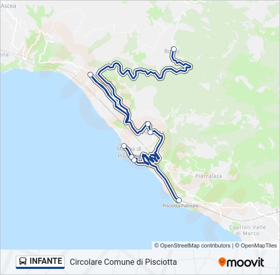 Percorso linea bus INFANTE