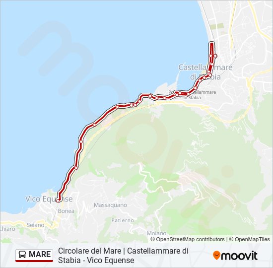 MARE bus Line Map