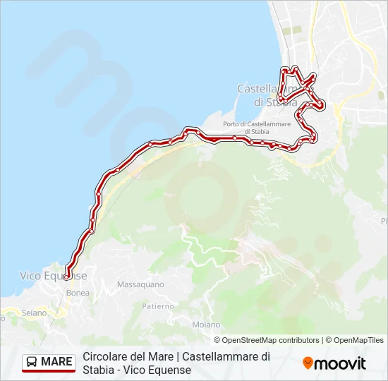 MARE Bus Line Map