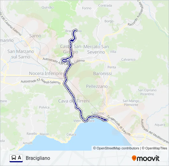 A Bus Line Map