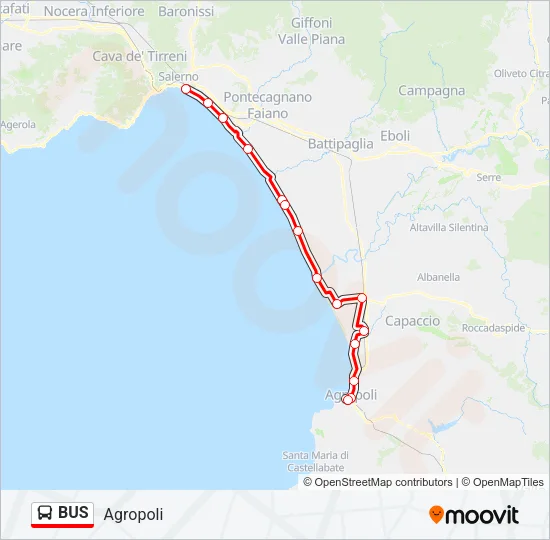 BUS Line Map