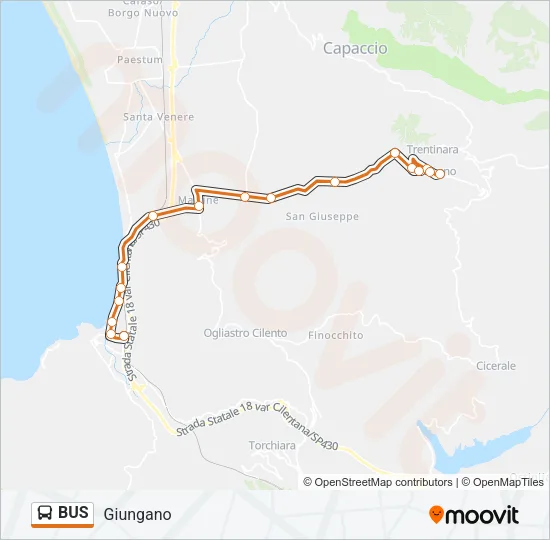 BUS Line Map