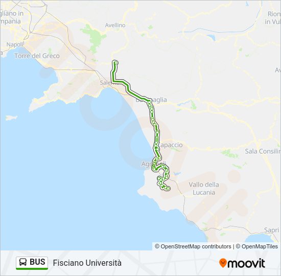 BUS Line Map