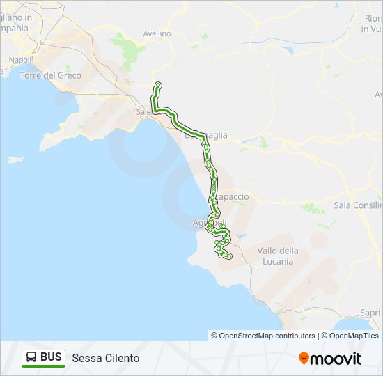 BUS Line Map