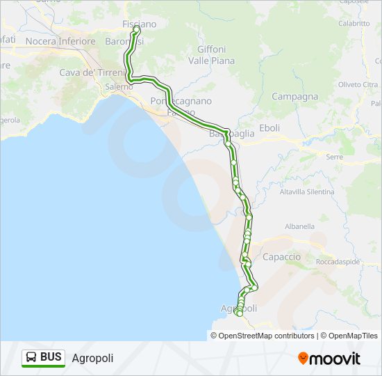 BUS Line Map