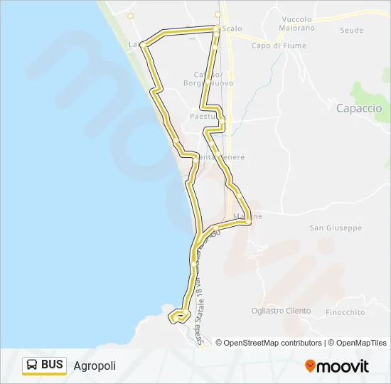 BUS Line Map
