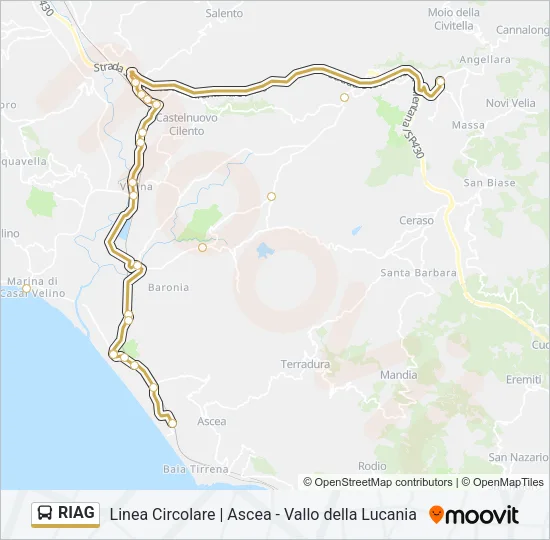 RIAG Bus Line Map