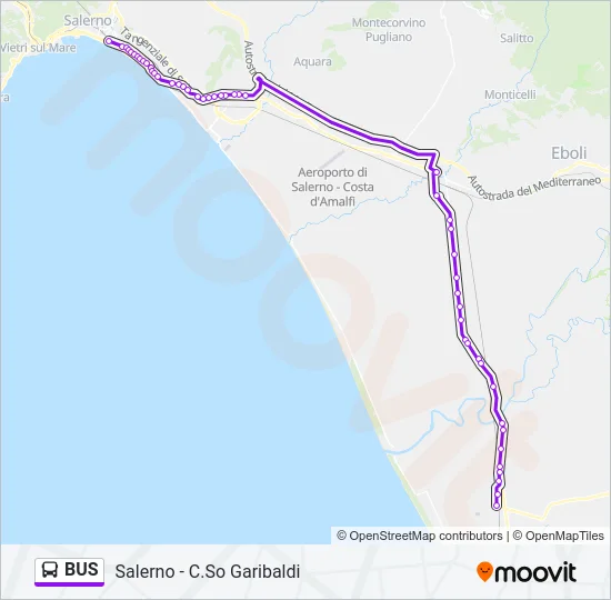 BUS Line Map
