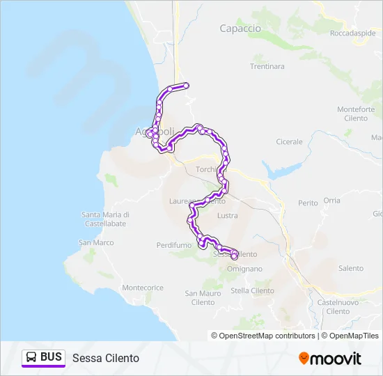 BUS Line Map