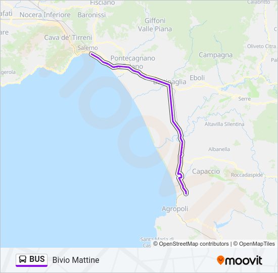 BUS Line Map