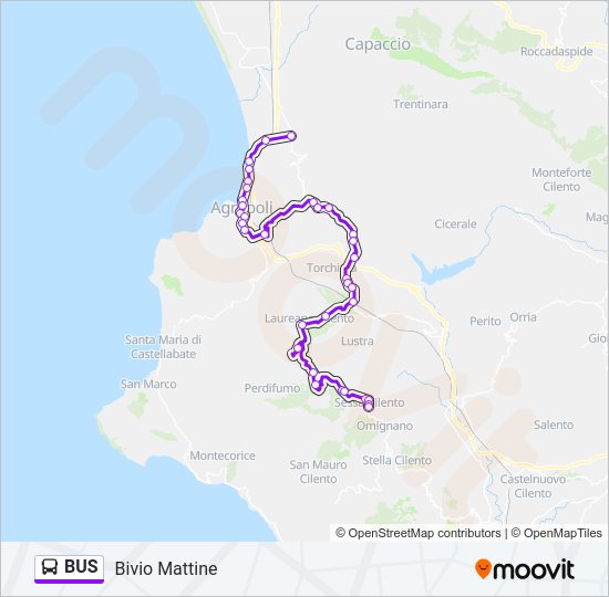 Mappa della linea BUS