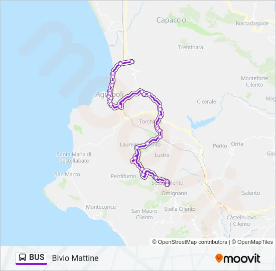 BUS Line Map