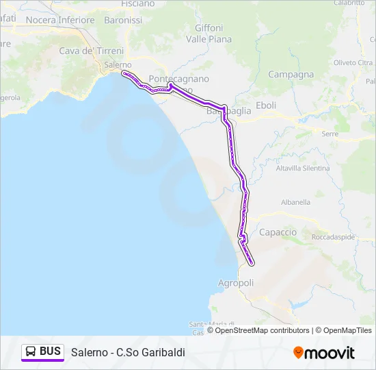 BUS Line Map