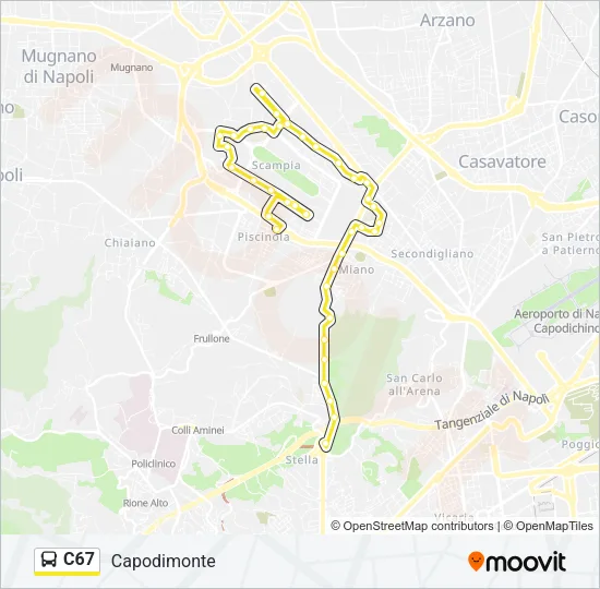 C67 Bus Line Map