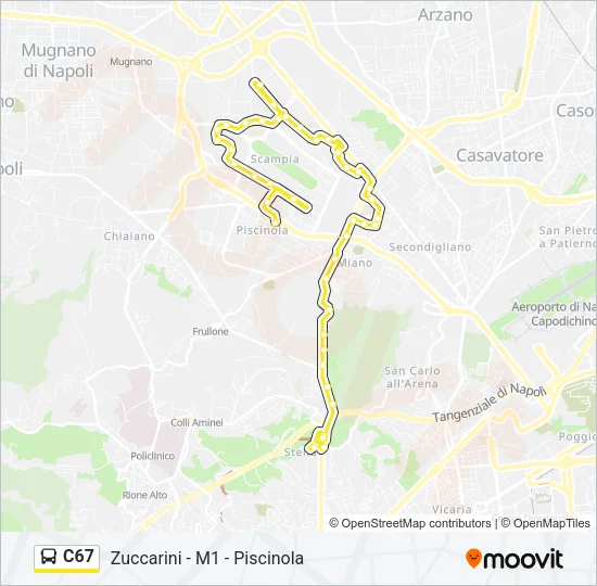 C67 Bus Line Map