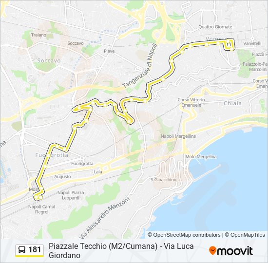 Percorso linea bus 181