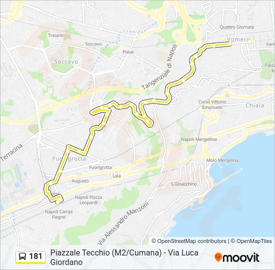 181 Bus Line Map