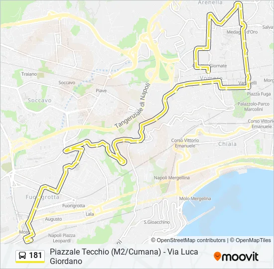 181 Bus Line Map