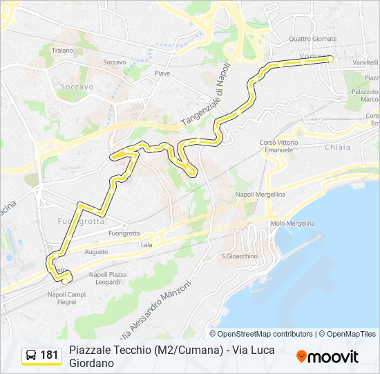 Percorso linea bus 181