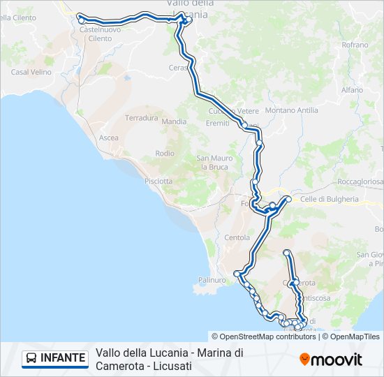 Percorso linea bus INFANTE