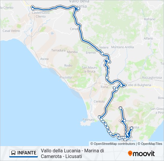 Percorso linea bus INFANTE