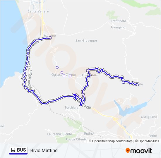 BUS Line Map